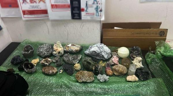 O româncă în drum spre  Marea Britanie, reținută pe aeroport: avea în bagaje 45 de flori de mină, posibil parte din patrimoniul naţional