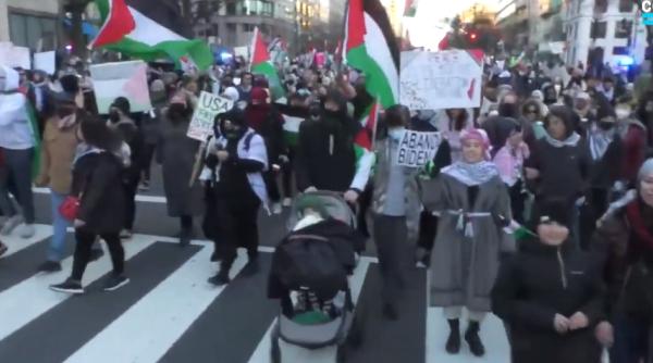 Proteste la Washington şi Londra: Mii de oameni au cerut încetarea focului în Fâşia Gaza - VIDEO