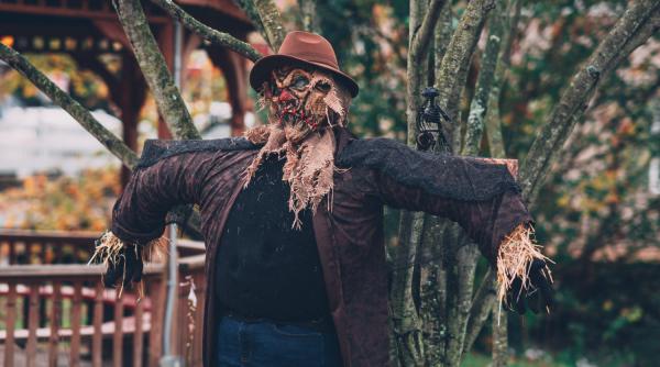 Și fermierii din Marea Britanie protestează: Producătorii de fructe şi legume plănuiesc o demonstrație cu sperietori de ciori în fața Parlamentului