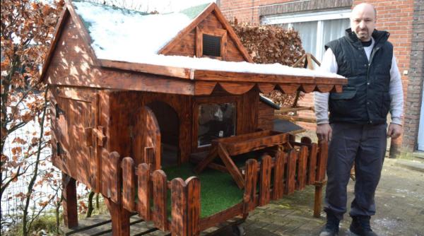 Un român din Belgia vinde cotețe de lux pentru animale: au etaj, loc de joacă și gazon artificial. "Puii stau pe leagăn. Găinile sunt bucuroase"