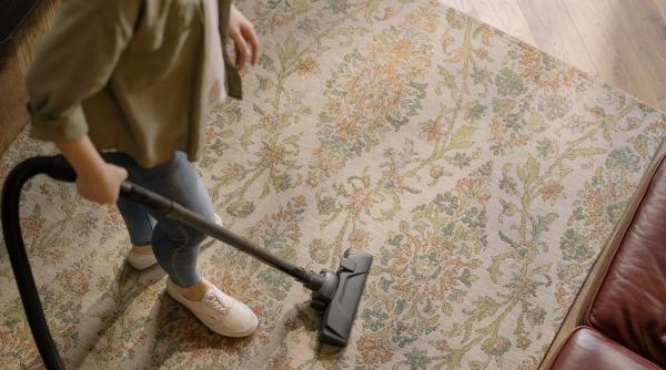 Ofertă de muncă controversată în Italia: Se caută ajutor casnic, dar cu diplomă universitară 