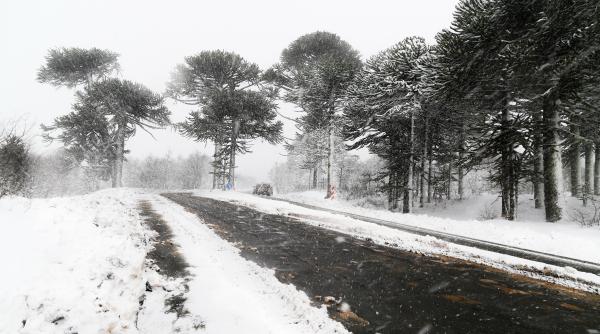 Alertă meteo: Cod galben de vânt și cod portocaliu de viscol, în aproape toată țara