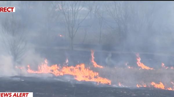 Arde Delta Văcăreşti. Focul cuprinde aproximativ două hectare. Zeci de pompieri încearcă să stingă incendiul