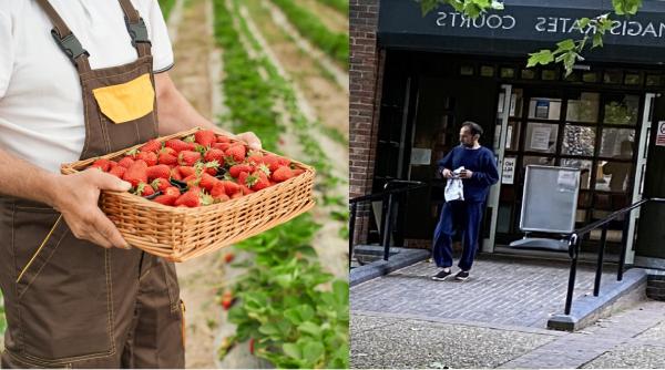 Fost ofițer în armata română, condamnat la închisoare în Anglia, după ce a tras cu pușca pe o plajă. Albert ajunsese să culeagă căpșune