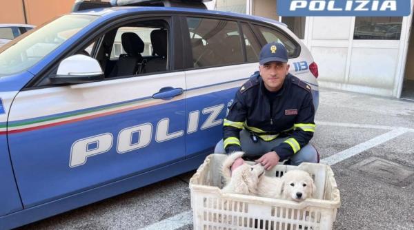 Camion românesc, blocat în Italia: Doi români se confruntă cu acuzații grave, după ce polițiștii au găsit trei cățeluși chinuiți, într-un coș