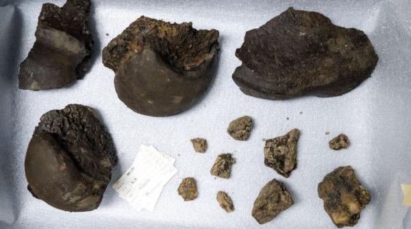 O comoară a lumii a fost descoperită în Bruxelles, sub linia de metrou. ”Un eveniment rar și excepțional”/ FOTO