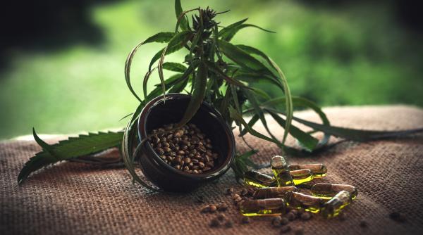 Ucraina a legalizat consumul de canabis în scop medicinal. ”Peste șase milioane de persoane au nevoie” 