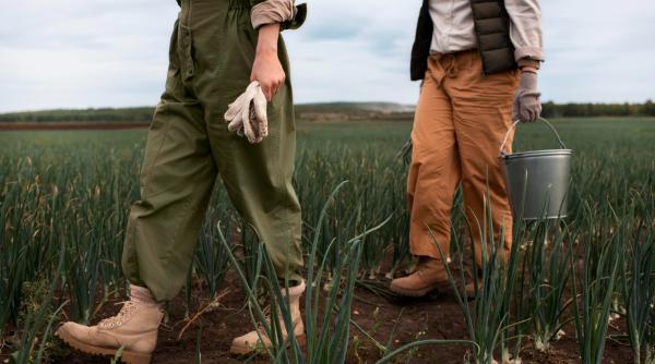 Zeci de români, victimele unor anunțuri false de angajare în în Spania. Au fost exploatați: fără bani, mâncare sau alte condiții