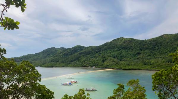 Insula pe care niciun om nu are voie să o viziteze. Găzduiește 4.000 dintre cei mai letali șerpi din lume