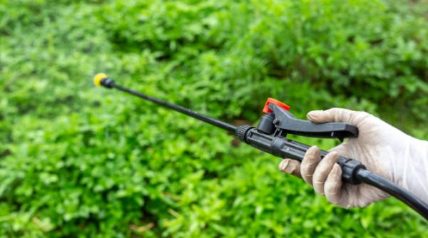 Pesticidele, din ce în ce mai utilizate în agricultura globală