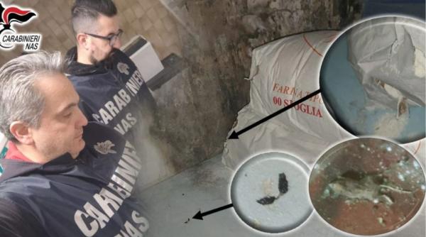 Trei restaurante populare din Bologna, închise. Unul dintre ele folosea pâinea veche mușcată de clienți pentru pesmet