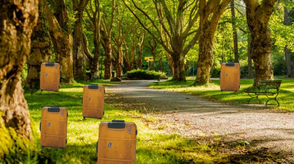 Experiment bizar: aproximativ 70 de cadavre au fost lăsate să putrezească în valize într-un parc din Australia