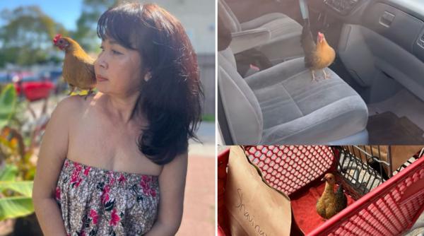 Povestea Marinei și a lui Koko, găina salvată din ghearele unei pisici. ”E foarte deșteaptă. Mergem la cumpărături împreună!” /VIDEO