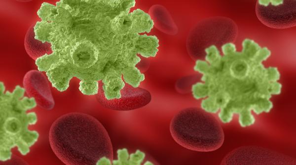 CDC avetizează: cresc simțitor cazurile de infectare cu bacteria Neisseria meningitidis