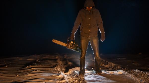 Șase români, închiși în Franța pentru o serie de furturi. ”Banda cu drujbe” prăda magazine de motocultură