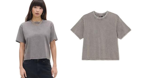 Basic vs clasic – care este diferența?