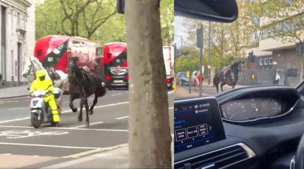 Caii armatei britanice au fost surprinși alergând speriați pe străzile Londrei. Patru persoane au fost rănite / VIDEO