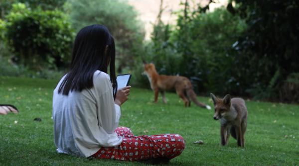 În Londra e normal să întâlnești vulpi pe stradă, iar oamenii ies din casă fără umbrele. O româncă vorbește despre ciudățeniile din capitala Angliei - VIDEO