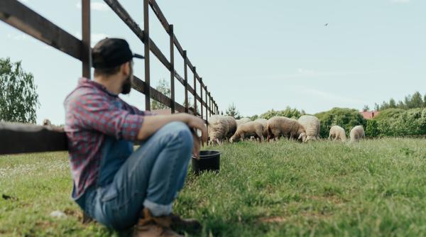 Într-o localitate din România s-a înscris un singur primar în cursă, din partea PSD 