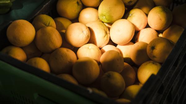 Un român a provocat haos pe o șosea din Franța. S-a răsturnat cu camionul și a împrăștiat 9 tone de portocale