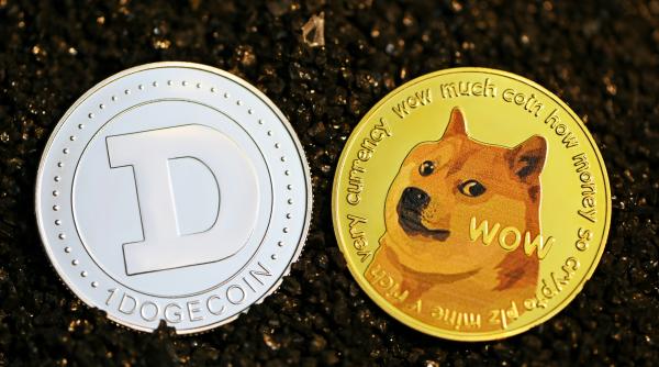 A murit celebra cățelușă care a inspirat criptomoneda „Dogecoin”