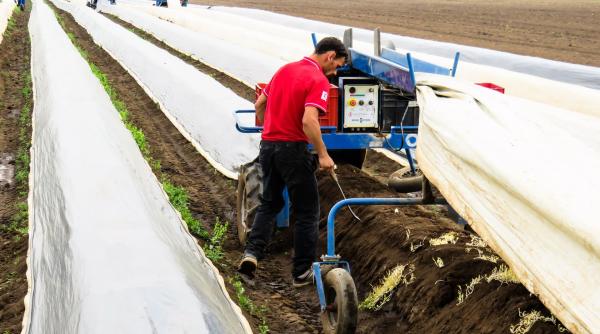 Cum sunt exploatați și jegmăniți muncitorii români aduși în Germania: 2.450 de euro chirie pentru două camere