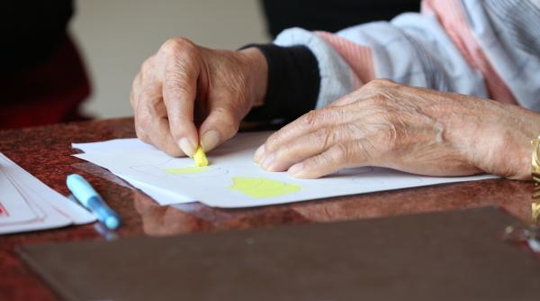 O bătrână din Austria susține că îngrijitoarea româncă i-a furat tablouri de mii de euro. Surpriză când i-au desfăcut bagajul