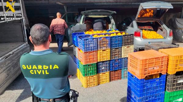 Români arestați în Spania, după ce au furat peste 160 de tone de portocale