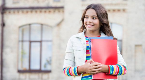 Ce cred românii din străinătate: Ar trebui să existe școli romanești în Diaspora? - Rezultat sondaj