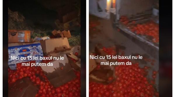 Fermierii români aruncă roșiile la gunoi: "Nici cu 15 lei baxul nu le mai putem da"