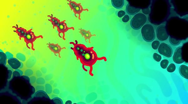 Tot ce trebuie să știi despre Amoeba, bacteria din lacuri, râuri și piscine, extrem de periculoasă pentru oameni