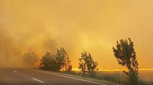 Circulaţia a fost oprită și marți pe autostrada Soarelui, din cauza unui nou incendiu de vegetaţie