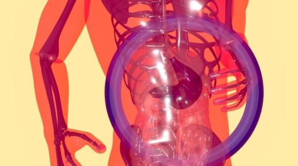 Studiu: s-a descoperit cauza majoră a bolii inflamatorii intestinale