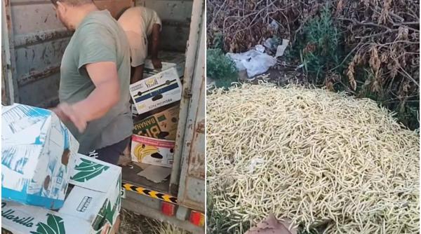 Fermierii români preferă să arunce marfa la gunoi, decât s-o dea samsarilor: "Vrei cu 6 lei? Mai bine la gunoi" - VIDEO