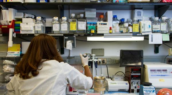 Medicii sunt cu un pas mai aproape de tratarea bolii Alzheimer