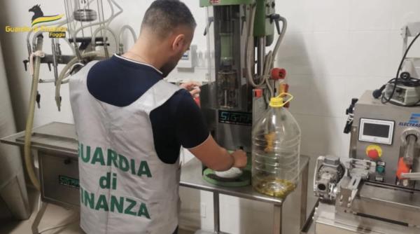 Ulei de măsline extravirgin falsificat: 37.000 de litri confiscați în Italia / GALERIE FOTO