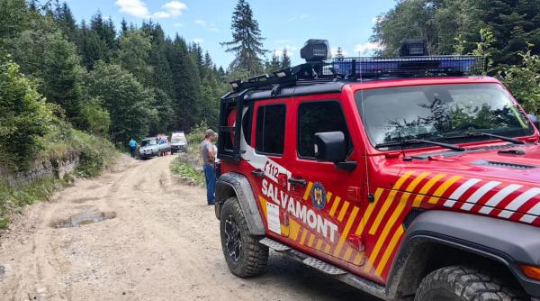 O turistă a fost atacată de urs în Jepii Mici, un traseu din Bușteni. Din păcate, a decedat. Bărbatul care era cu ea a apucat să fugă