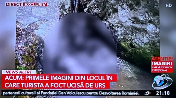 Propunerea Ministrului Mediului, după moartea tinerei la Jepii Mici: „Dacă un urs se apropie la o distanță de 1-3 km de o așezare umană poate fi eliminat"