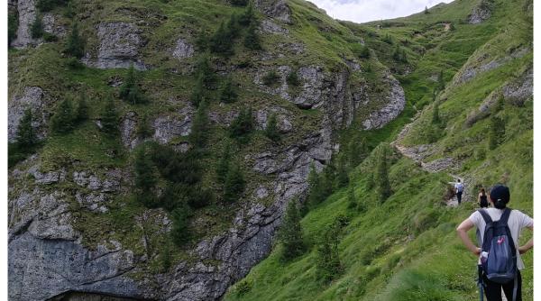 Tânăra atacată de urs în Jepii Mici avea doar 19 ani, era din Iași și muncea la București. Cadavrul a fost recuperat cu greu