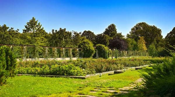 USAMV București anunță deschiderea sesiunii de admitere 2024: peste 5500 de locuri la cele 64 de programe universitare de licență și master 