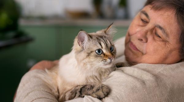 Românii din Italia cu animale de companie pot beneficia de reduceri fiscale de până la 550 de euro pentru cheltuielile veterinare