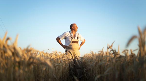 Cum a convins un fermier din Arad românii plecaţi din ţară să revină acasă: le-a dat salarii de 15.000 de lei