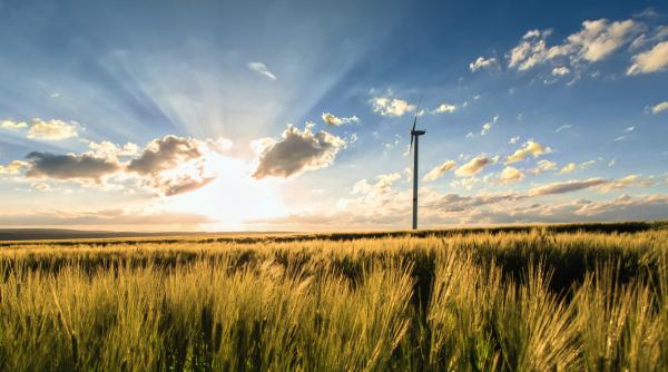 Belgia introduce un tarif „stimulativ” pentru energia electrică: Prețul va fluctua în funcție de intervalul orar