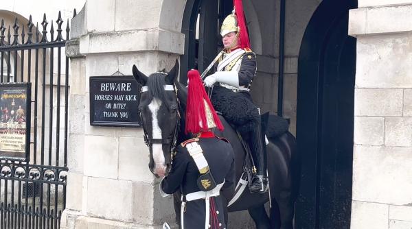 Salariu scandalos oferit de familia regală pentru îngrijitorii cailor la Palatul Buckingham: mai puțin decât consumă pe hrana armăsarilor