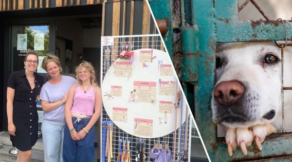 Doi designeri belgieni donează veniturile din colecții pentru salvarea câinilor din adăposturile românești