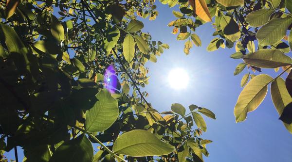 Alertă de cod galben în 10 regiuni din Spania. Temperaturilor vor depăși 40 de grade