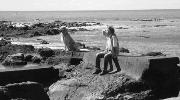 Pensionar bătut de salvamar, pentru că și-a scos câinele la plimbare pe plajă în Italia