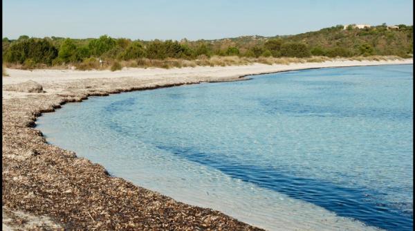 Fenomen ciudat pe o plajă celebră din Italia: apa a devenit brusc verde-gălbuie. Explicația autorităților