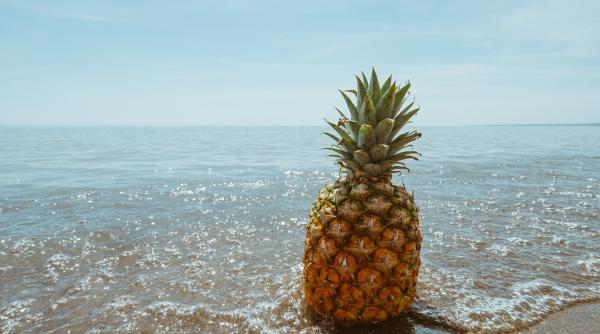 Un fenomen social provoacă haos în Spania: oamenii pun ananasul întors în cărucior, în speranța că își vor găsi marea iubire