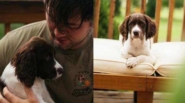 Bărbat salvat de câinele său, după ce i s-a făcut rău pe autostradă în italia: „Le datorez viața mea, câinelui și polițiștilor”